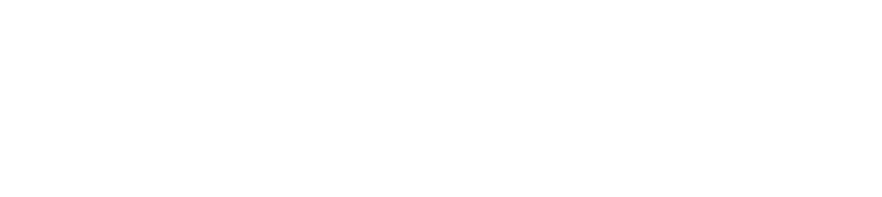 Partnerlogo Ibelsa White