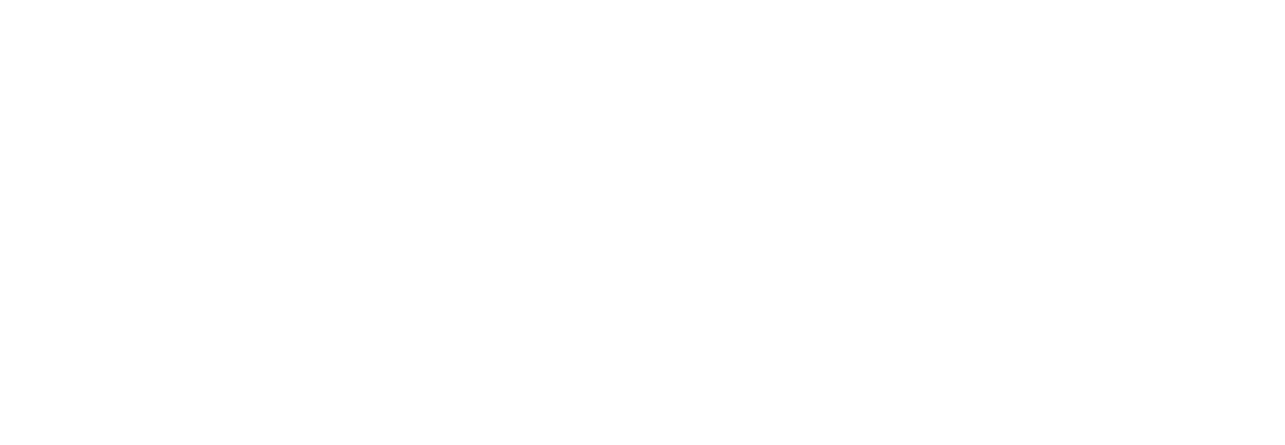 Partnerlogo Iiqcheck White